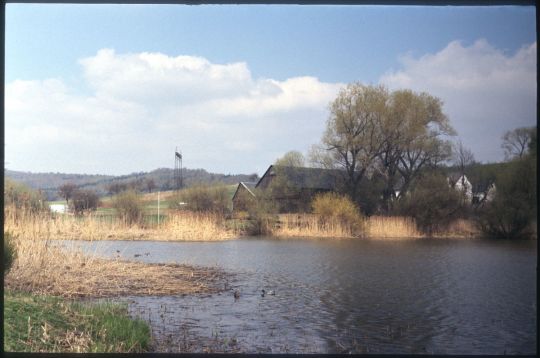 Blick über einen Teich in Rammenau