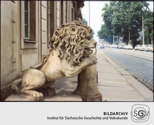 Löwenskulptur am Krankenhaus in der Dresdner Friedrichstadt
