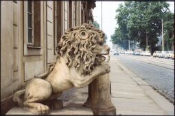 Bild: Löwenskulptur am Krankenhaus in der Dresdner Friedrichstadt