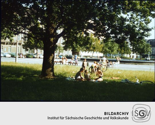 Brunnen vor dem Japanischen Palais in der Dresdner Neustadt mit badenden Kindern