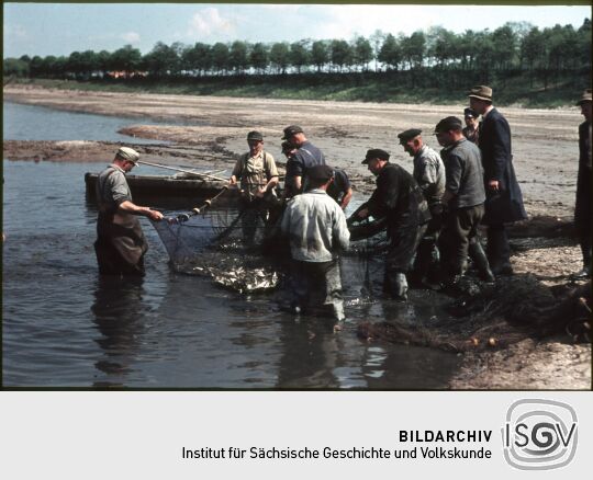 Fischer beim Einholen von Netzen während des Abfischens im Becken des Pumpspeicherkraftwerkes Niederwartha