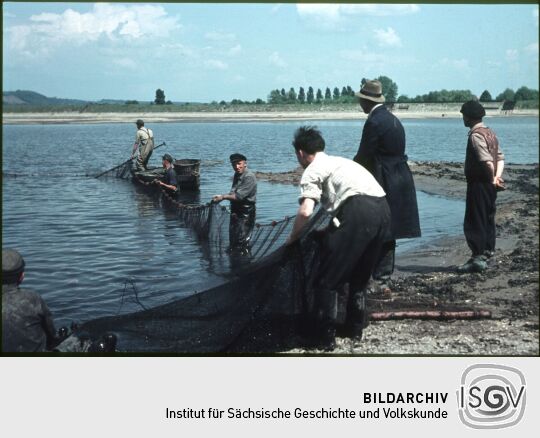 Fischer beim Einholen von Netzen während des Abfischens im Becken des Pumpspeicherkraftwerkes Niederwartha