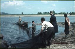 Bild: Fischer beim Einholen von Netzen während des Abfischens im Becken des Pumpspeicherkraftwerkes Niederwartha