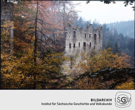 Ruine auf dem Berg Oybin