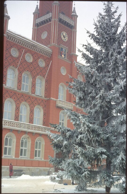 Verschneiter Weihnachtsbaum vor dem Kamenzer Rathaus