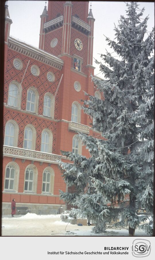Verschneiter Weihnachtsbaum vor dem Kamenzer Rathaus