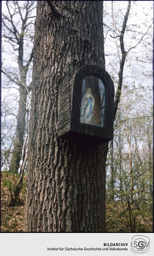 Marienstatuette an einem Baum in Marienstern