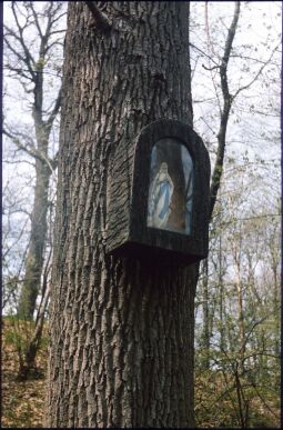 Bild: Marienstatuette an einem Baum in Marienstern
