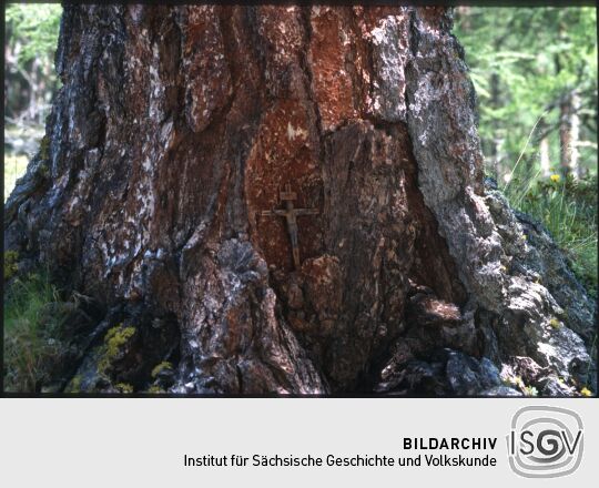 Kruzifix an einem Baumstamm in Panschwitz in der Oberlausitz