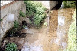 Bild: Zufluss zu einem Bach in Hirschfeld