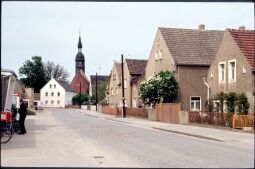 Bild: Blick durch Frauenhain zur Kirche