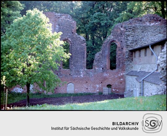 Ruinen des ehemaligen Klosters Altzella bei Nossen.
