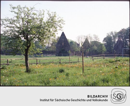 Ruinen im Bereich des früheren Kloster Altzella bei Nossen