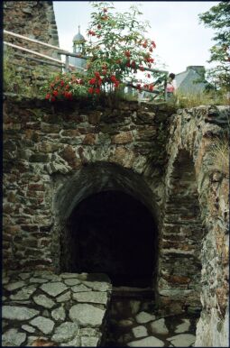 Bild: Burgruine Frauenstein