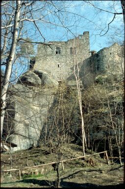 Bild: Ruine auf dem Berg Oybin
