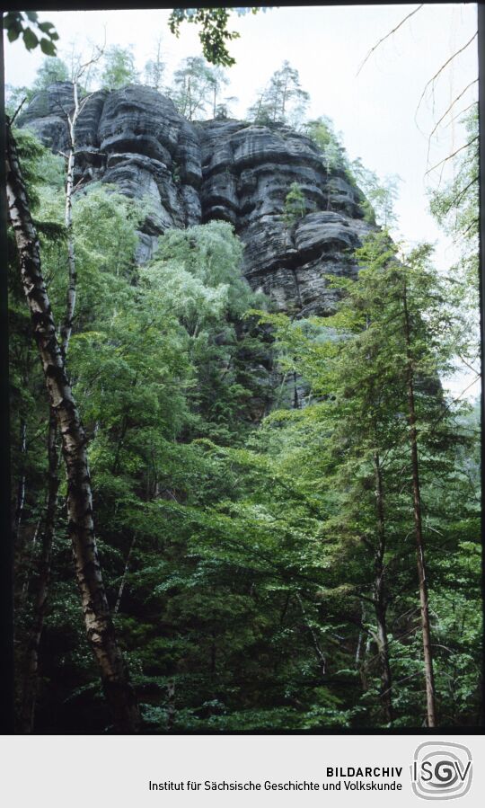 Felsformation Heringstein in der Sächsischen Schweiz