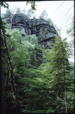 Bild: Felsformation Heringstein in der Sächsischen Schweiz