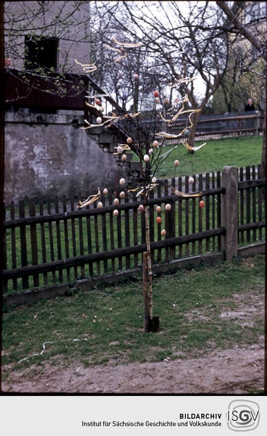 Baum mit Osterschmuck in Ebersbach