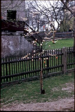 Bild: Baum mit Osterschmuck in Ebersbach