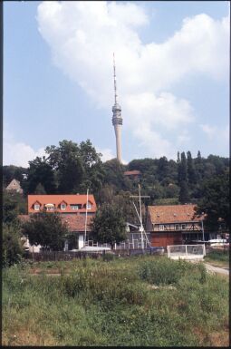 Bild: Landschaftsansicht an den Südhängen des Elbtales