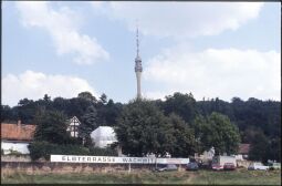 Bild: Landschaftsansicht an den Südhängen des Elbtales