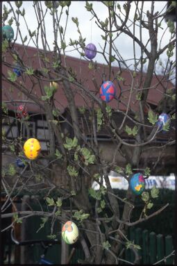 Bild: Ortsansicht in Obercunnersdorf