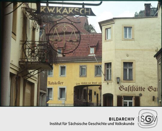 Ortsansicht in Stadt Wehlen