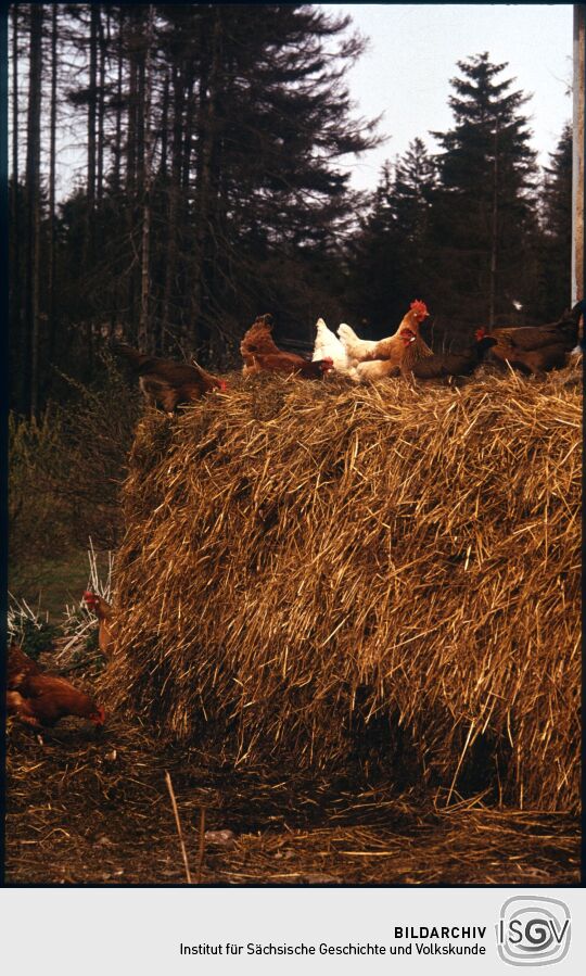 Ortsansicht in Holzhau