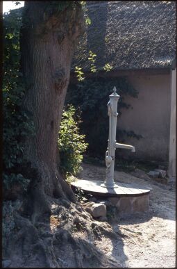 Bild: Ortsansicht in Naußlitz