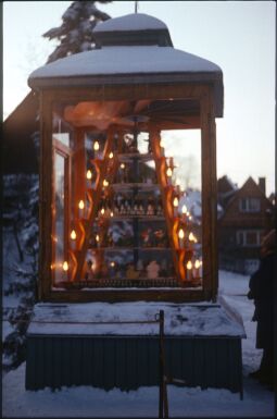 Bild: Ortsansicht in Altenberg