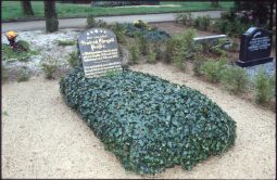 Bild: Ortsansicht in Großröhrsdorf