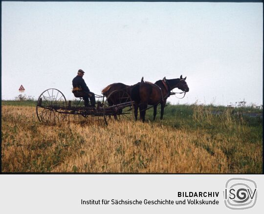 Feldrain mit Pferd und Bauer