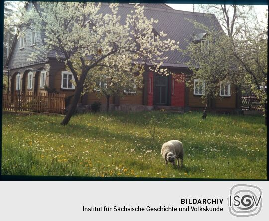 Ortsansicht in Leutersdorf