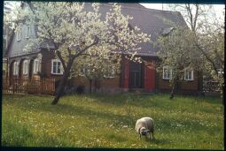 Bild: Ortsansicht in Leutersdorf