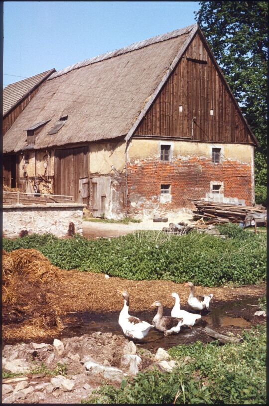 Ortsansicht in Löwenhain