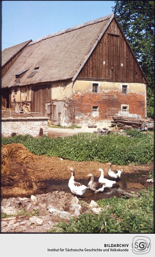 Ortsansicht in Löwenhain