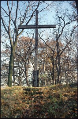 Bild: Ortsansicht in Seifersdorf