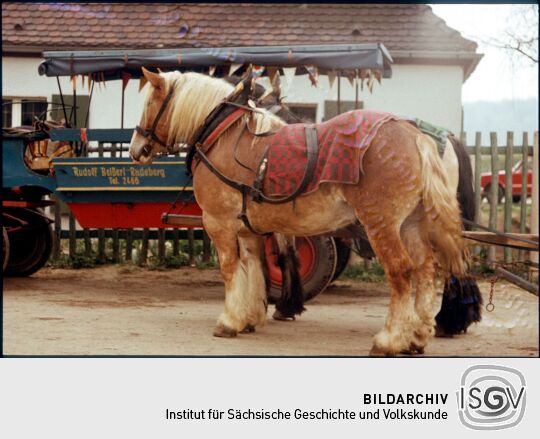 Ortsansicht in Langebrück