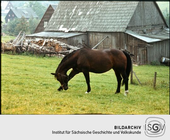 Ortsansicht in Altenberg