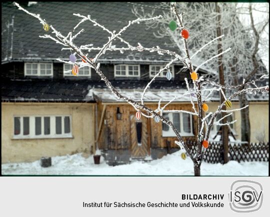 Ortsansicht in Schellerhau