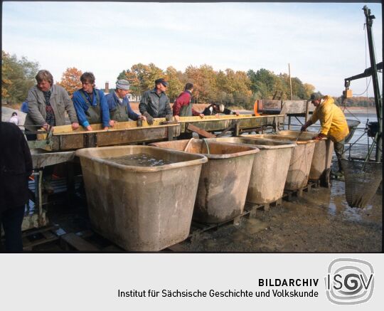 Ortsansicht in Deutschbaselitz