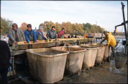 Bild: Ortsansicht in Deutschbaselitz