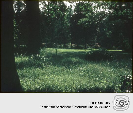 Ortsansicht in Rothenburg/O.L.