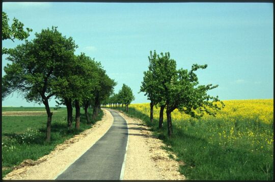 Ortsansicht in Merschwitz
