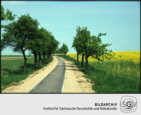 Ortsansicht in Merschwitz