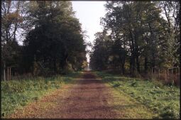 Bild: Ortsansicht in Dresden