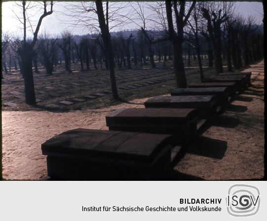 Blick über die Reihen der Gräber auf dem Gottesacker