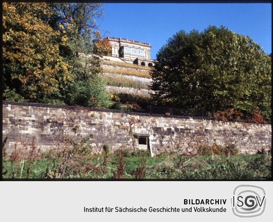 Blick vom Elbufer in Dresden über den Weinberg zum Lingnerschloss (Villa Stockhausen) 1988