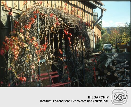 Bank und ein Stapel Holz in Waltersdorf 1993