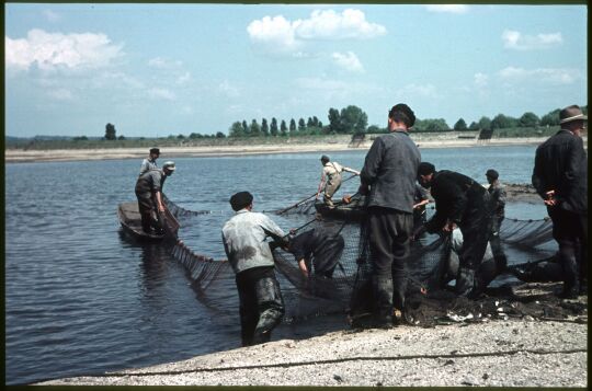 Fischer beim Einholen von Netzen während des Abfischens im Becken des Pumpspeicherkraftwerkes Niederwartha